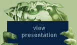 View Presentation