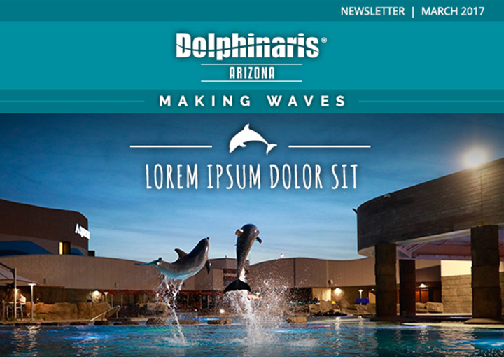Dolphinaris Email Marketing