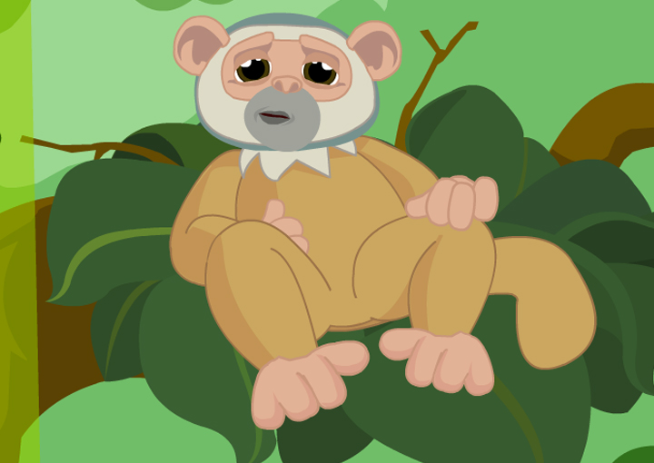 Virtual Baby Monkey Game