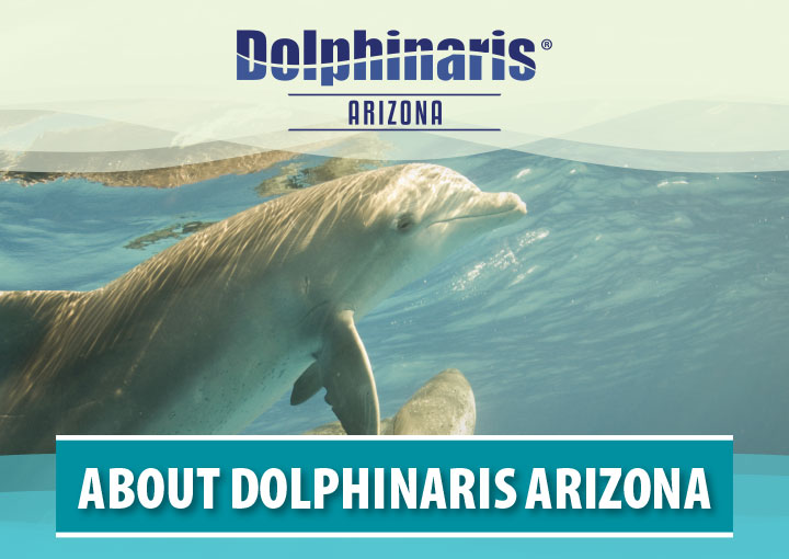 Dolphinaris Sales Materials